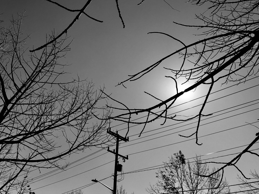 974D2A76-1B97-4E44-8F58-0790FB2F9983