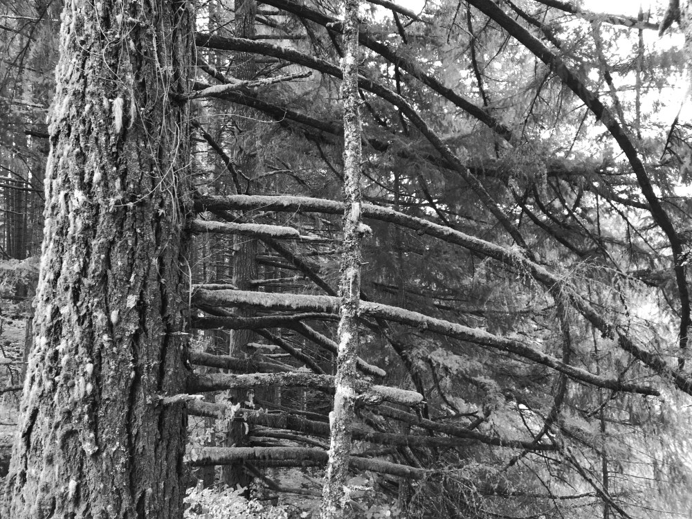 9B37492C-7E6E-4903-BD60-D861C5BF4A4C