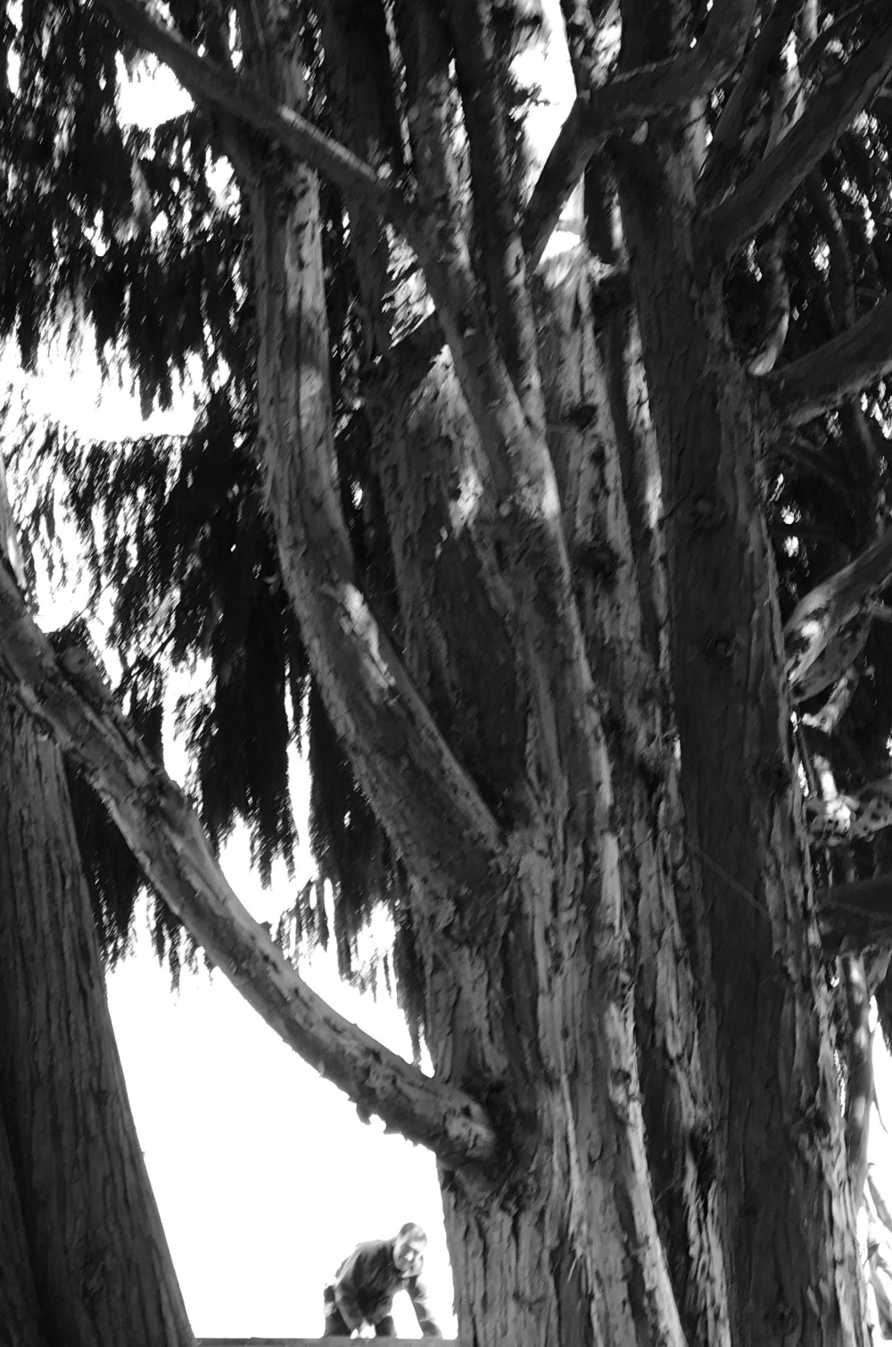 A01B6AB7-7882-4E32-A9EC-FBEFA5D2ABEE