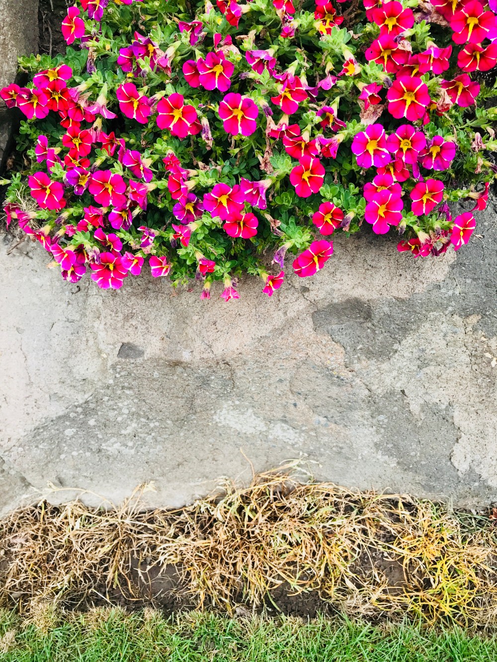 A0209D25-D2A1-4220-8DDF-9DFC955D0DF0