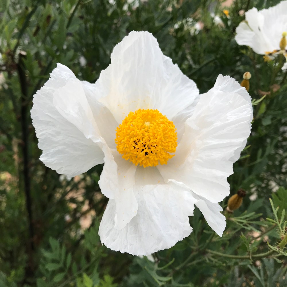 A0BFDEC4-E42C-4BD5-A3CC-D73C13BDC577