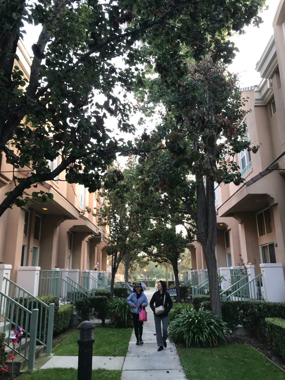 A17690BF-E827-4DEB-A00B-9E94A90D588C