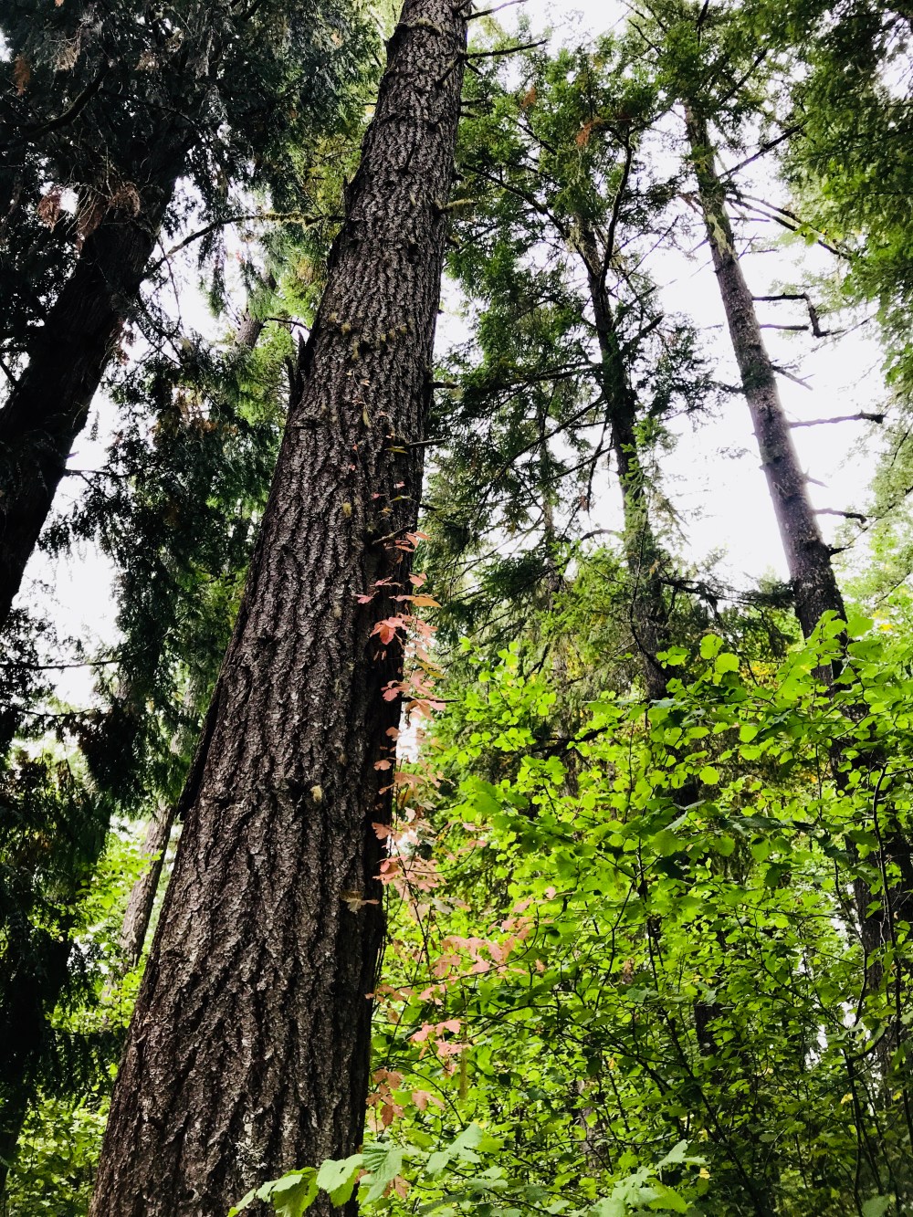 A177D556-A8F2-4880-A07F-99D52D6D1113