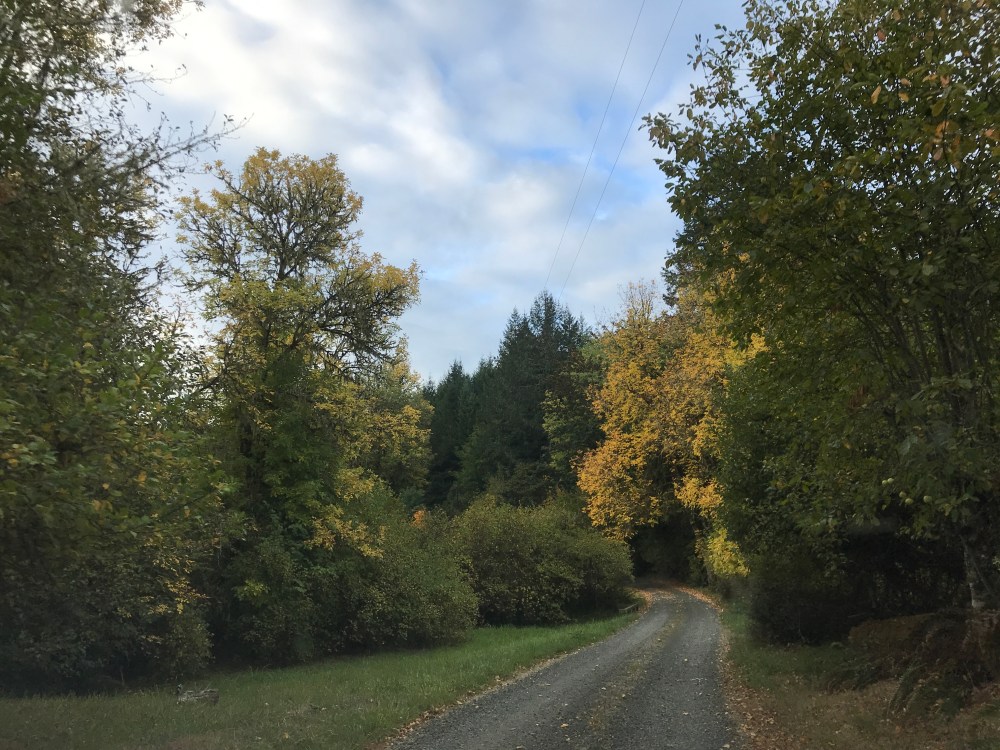 A3097088-4B6C-4C5F-BB8E-3C82EE05B199