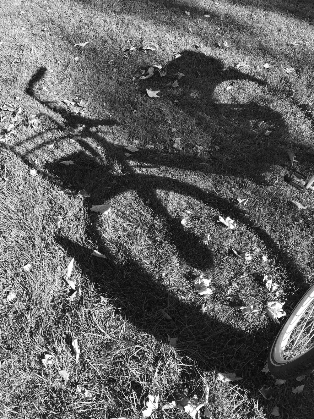 A495F580-92D2-4428-8C53-5FBF05584100