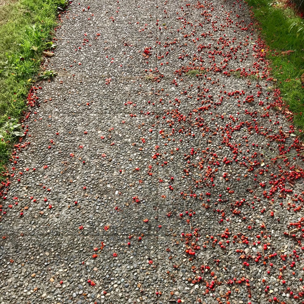 A5458A2E-9ED1-46B5-BCD3-70F781EDD9EB