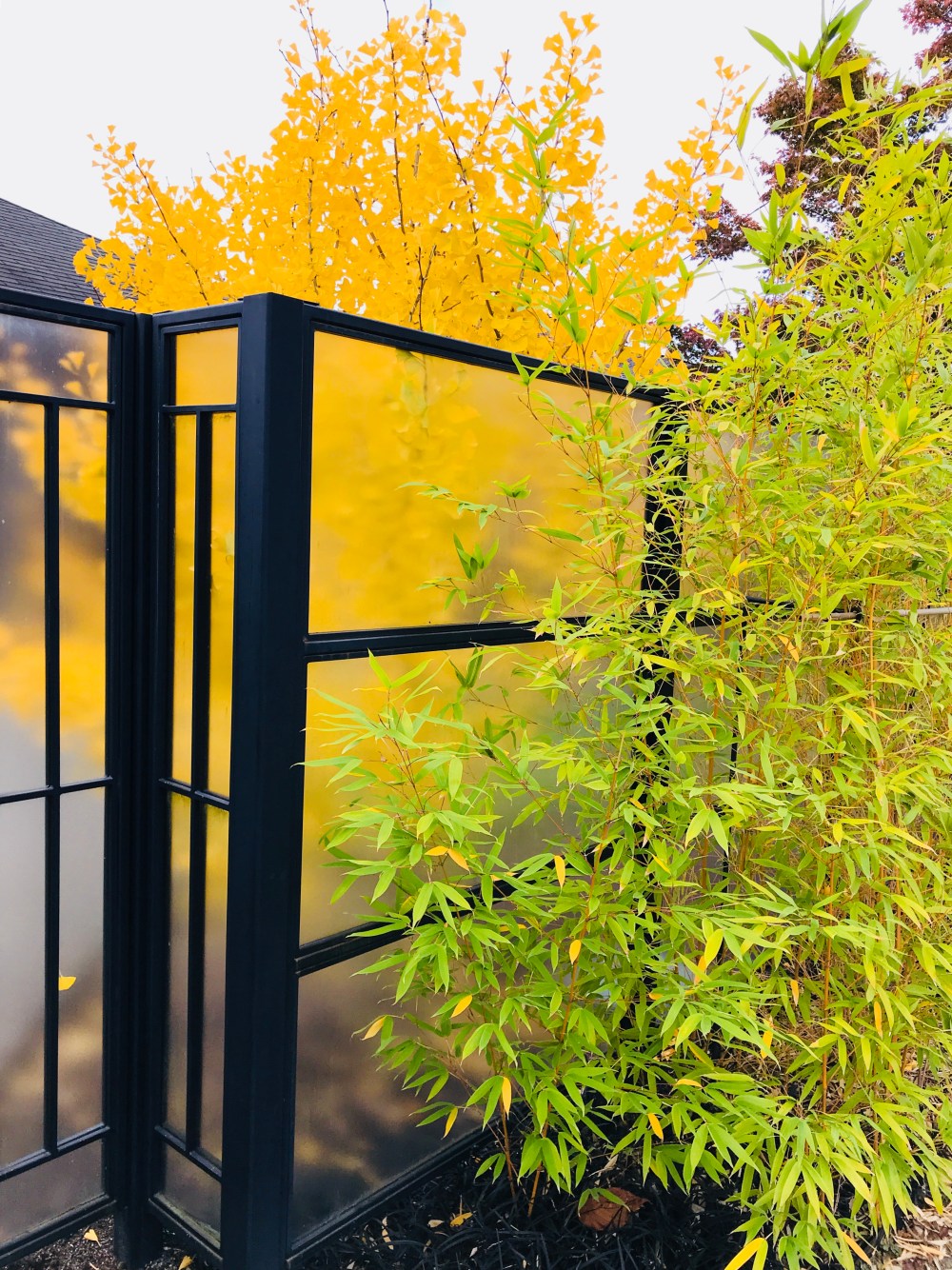 A5E40943-8B3E-411F-8808-2FBCA45D04CF