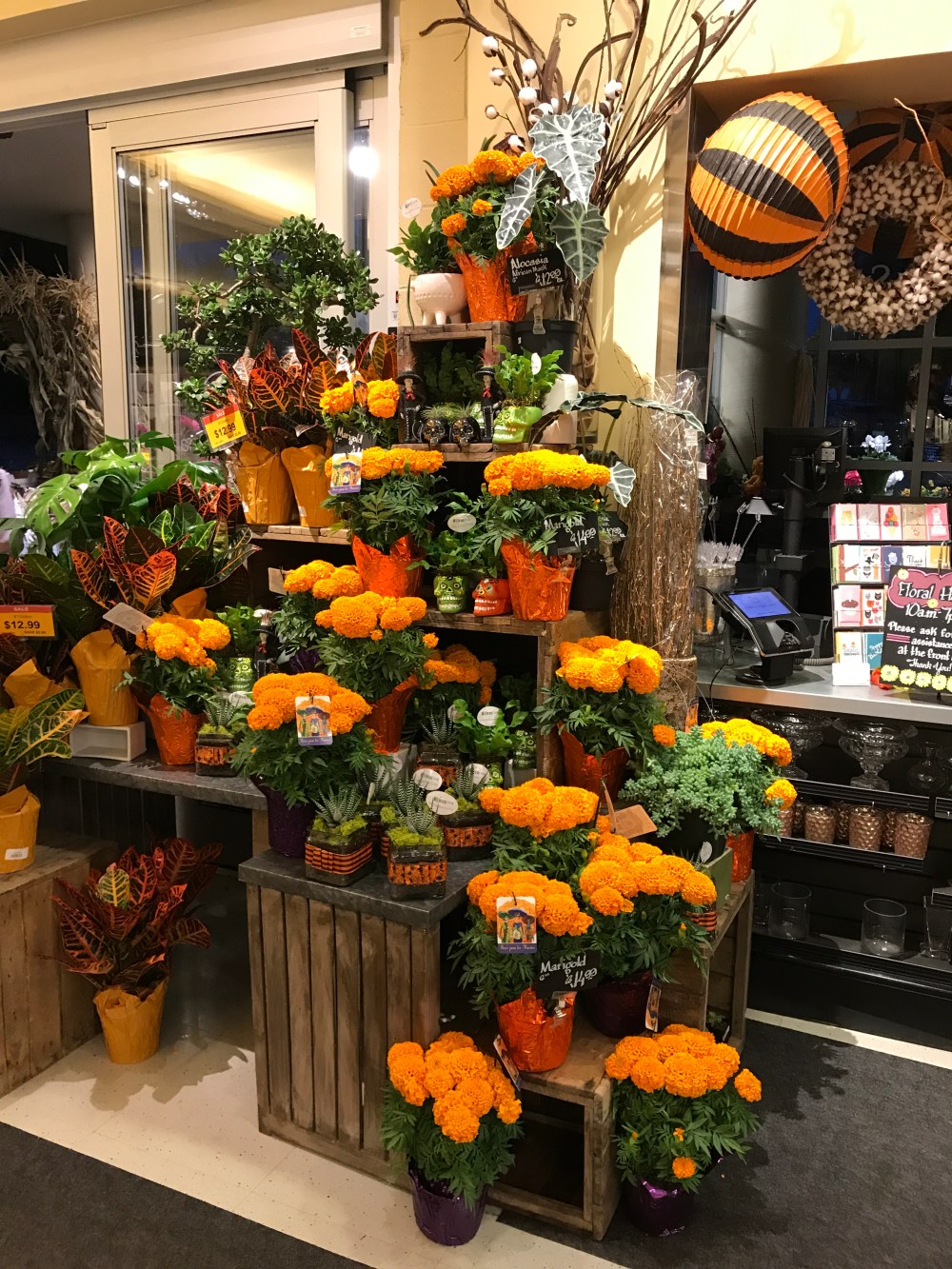 A61E0F7E-E5AC-4062-95E4-C4201E59C697