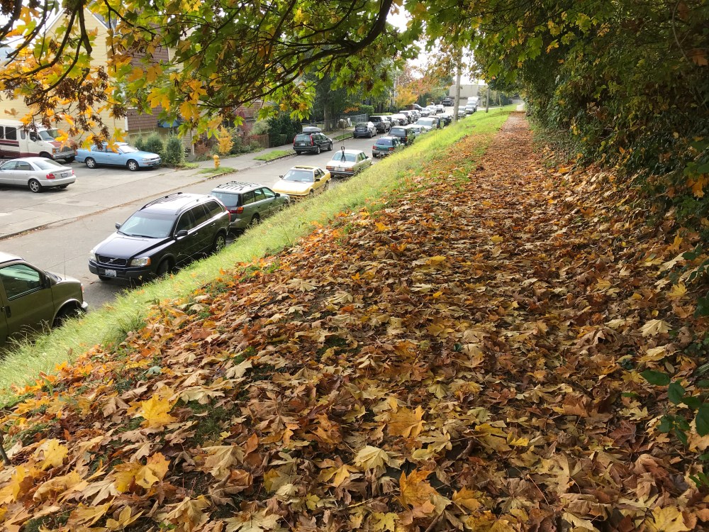 A665FB2B-0738-4987-B95B-9532B328DF5D