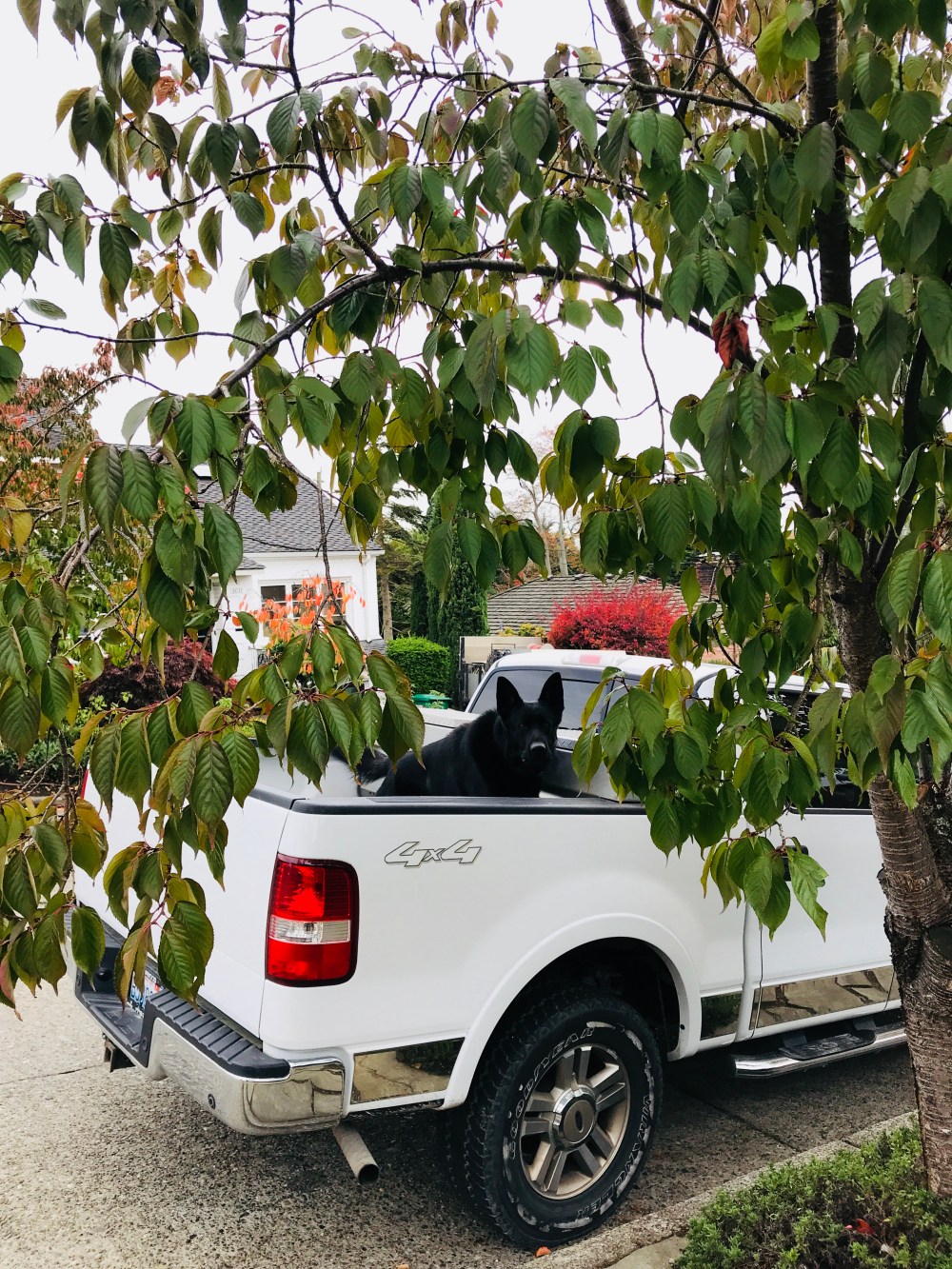 A78F9326-7BD1-4061-A27E-8187063AAF0A