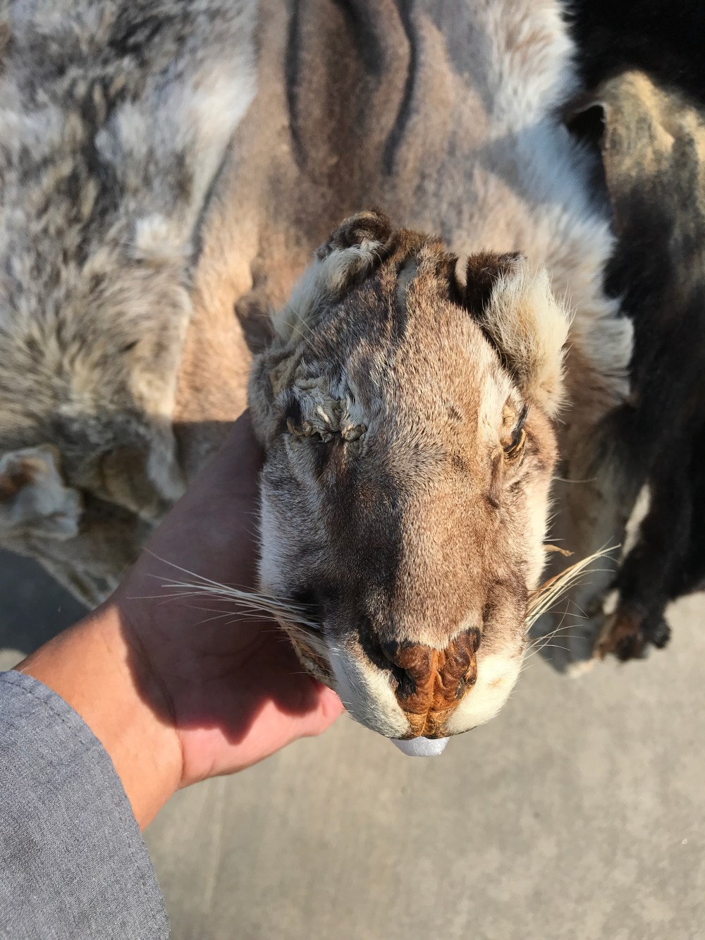 A867A42B-D68B-4942-87F6-436B672D4729