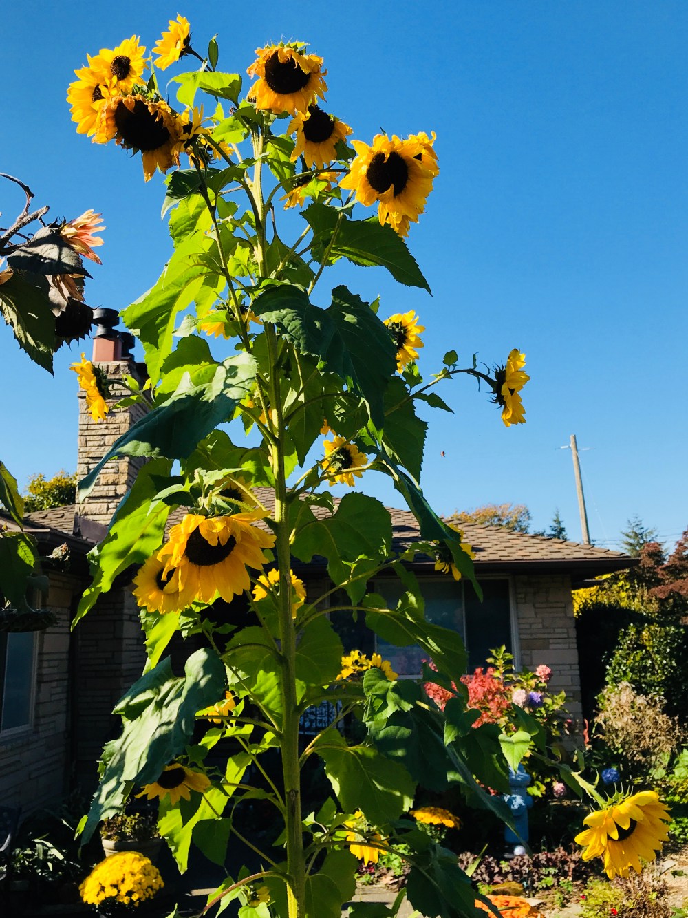 A8BCE990-34E7-4072-A34D-4C31DA07A9F4