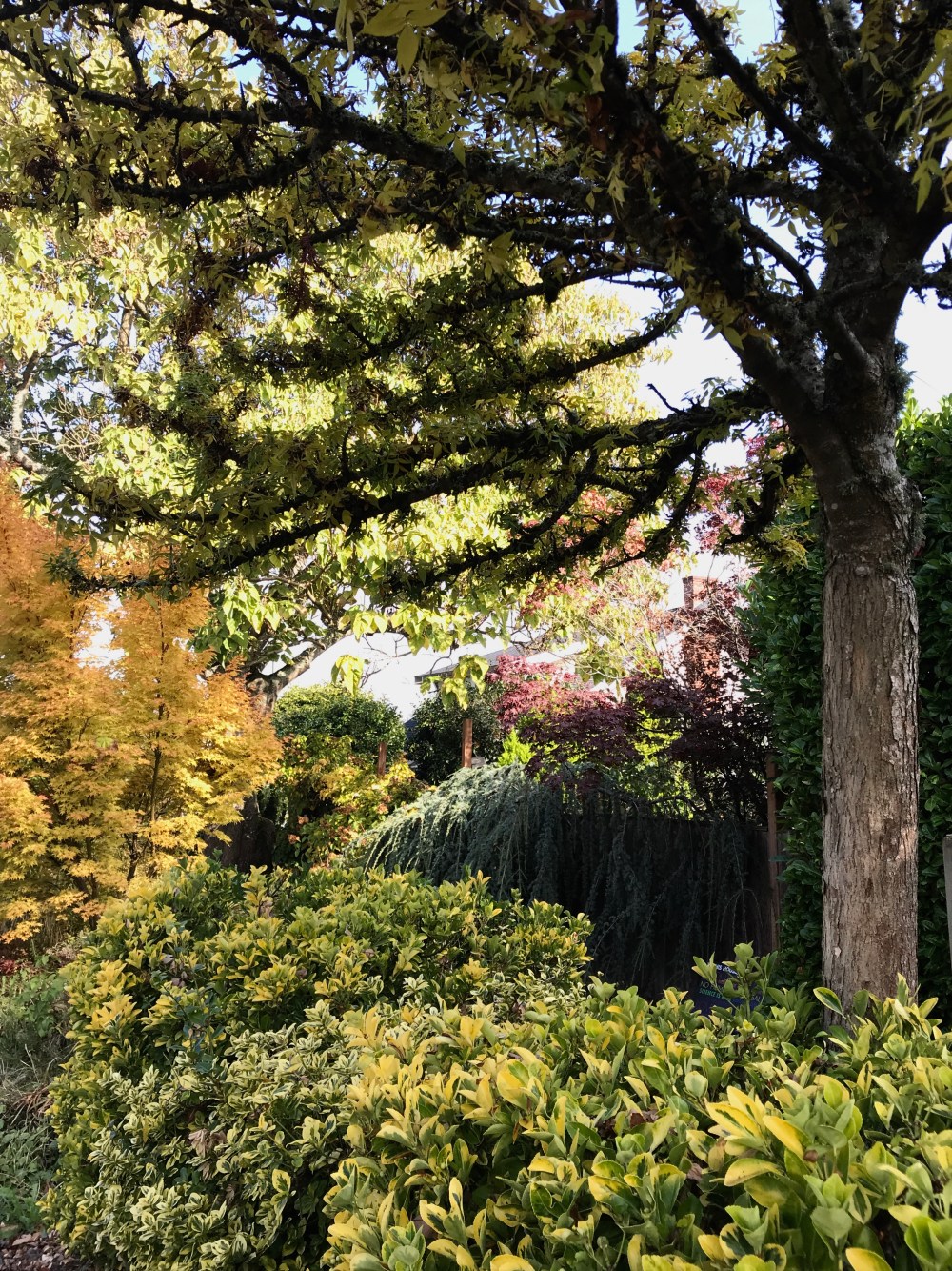 ACB23648-E393-4E04-AAD9-4CE782AE8DA0