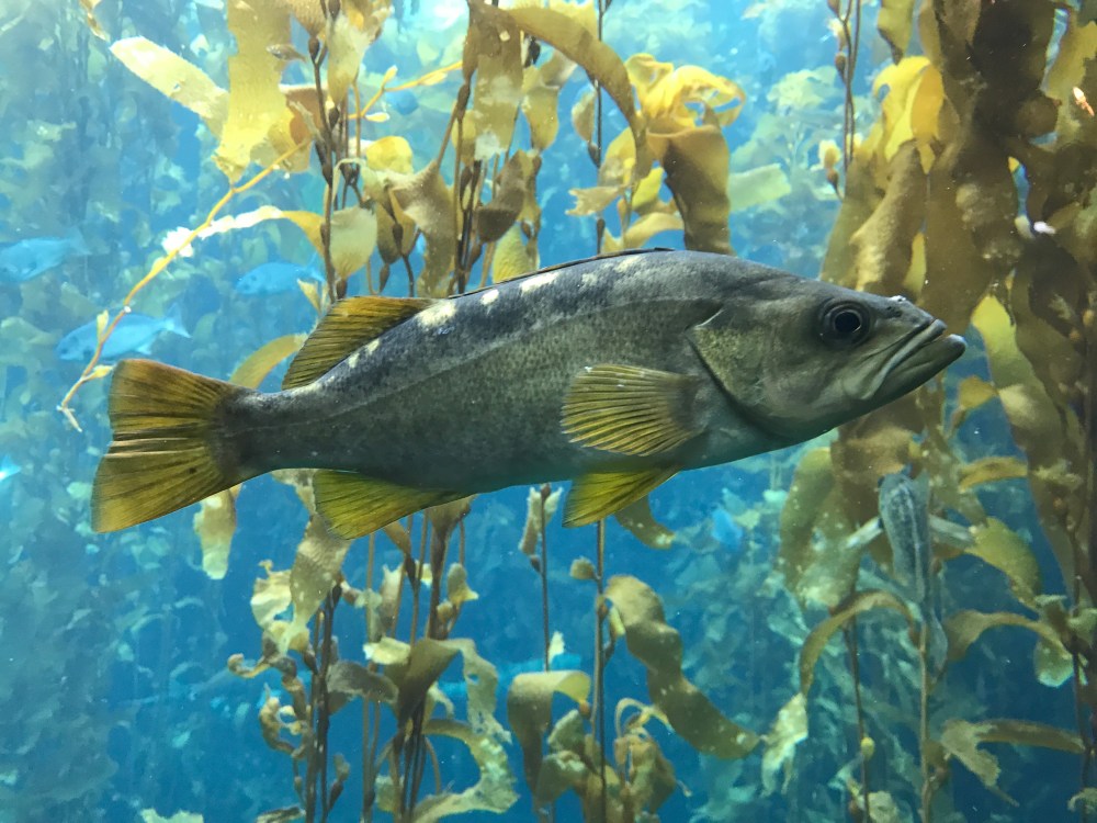 AD5865F3-BF43-4097-9680-5DEF9A478AE5