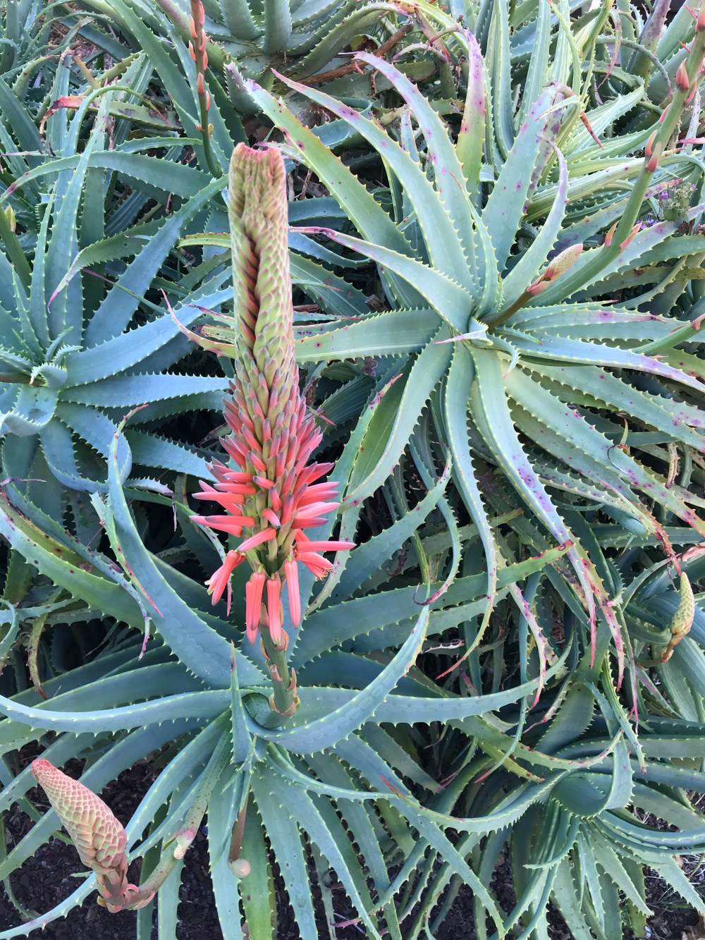 AD7A6536-DF27-4C9D-B48E-15250BB3BF95