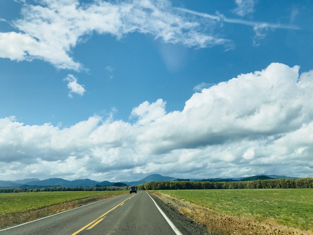 AE309C46-C0F7-43FE-B38B-31D0D49E5ABF