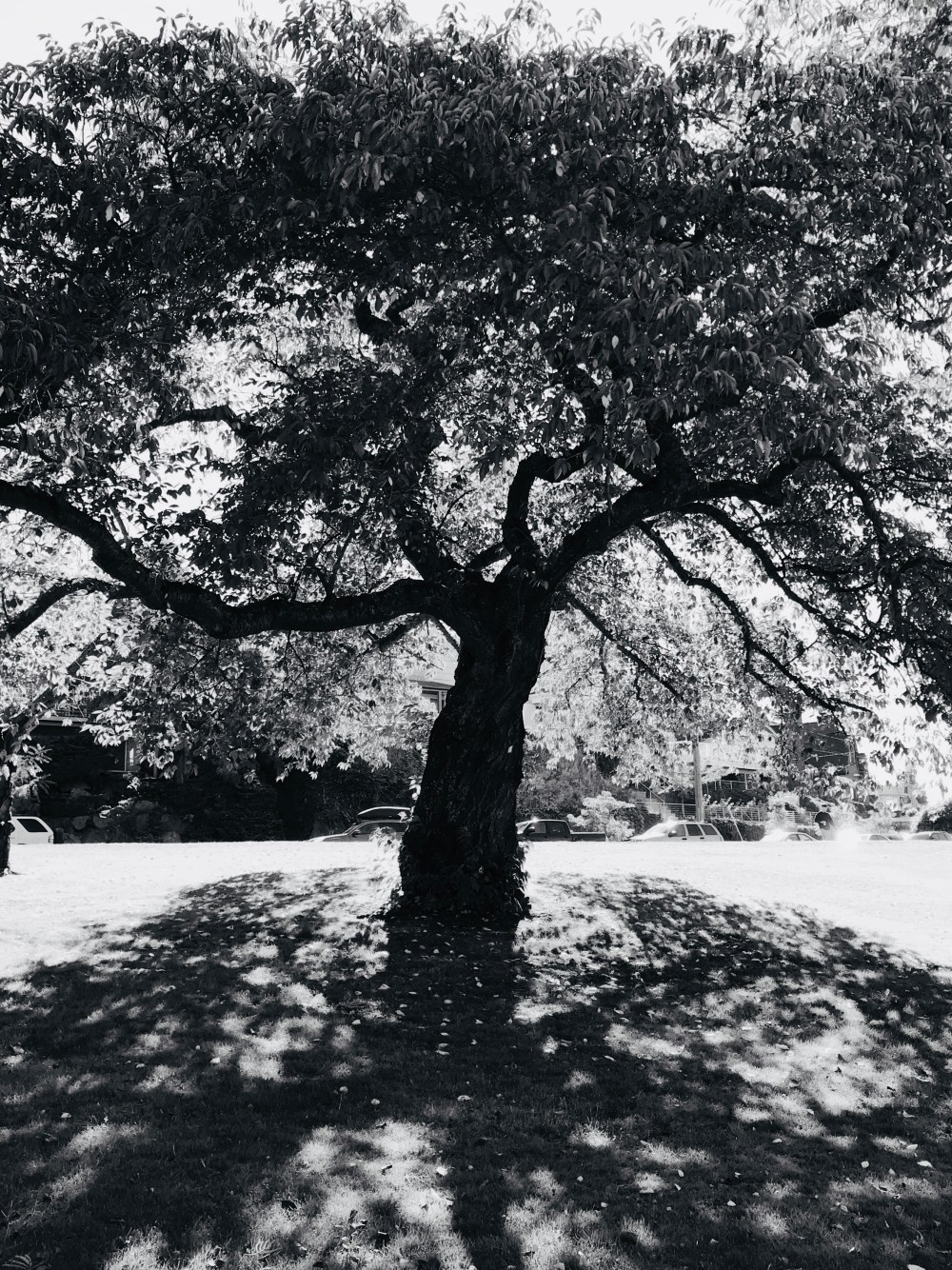 AE92316C-90F8-4012-B0C5-5A270841B911