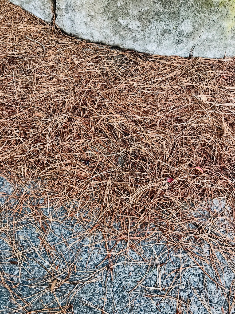 AEA5544C-546C-4D9D-80A7-DA40DBDCF437