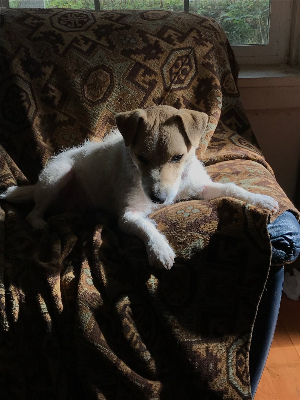 AF517686-08CE-43D9-925B-229191B395FA