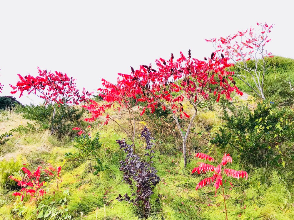 AF91B41B-2605-4E85-BE6E-19F775A53B23