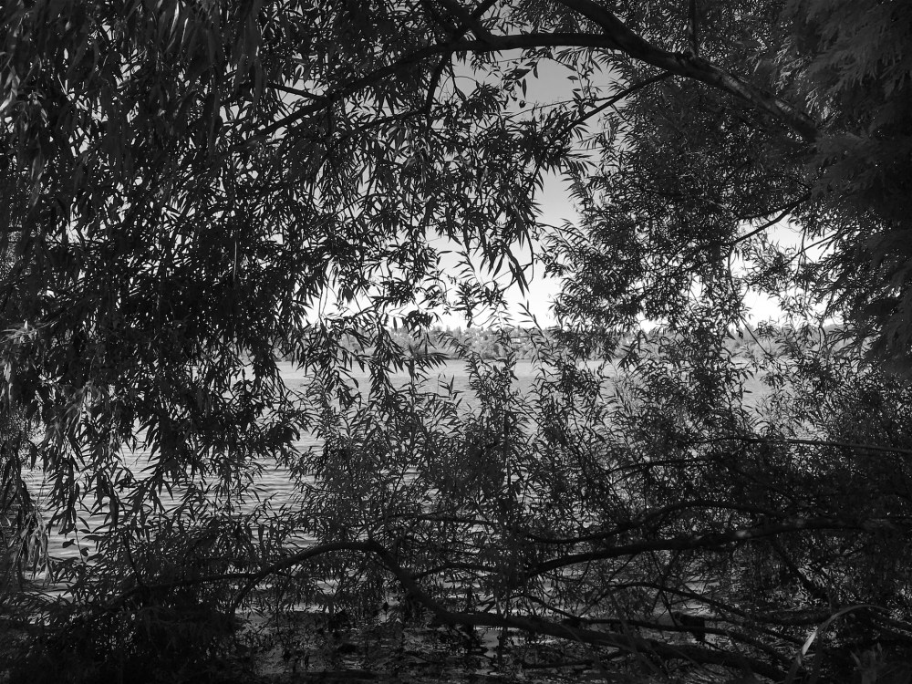 AF986C19-FB82-4C77-BF12-A2D2BCAD6BA5