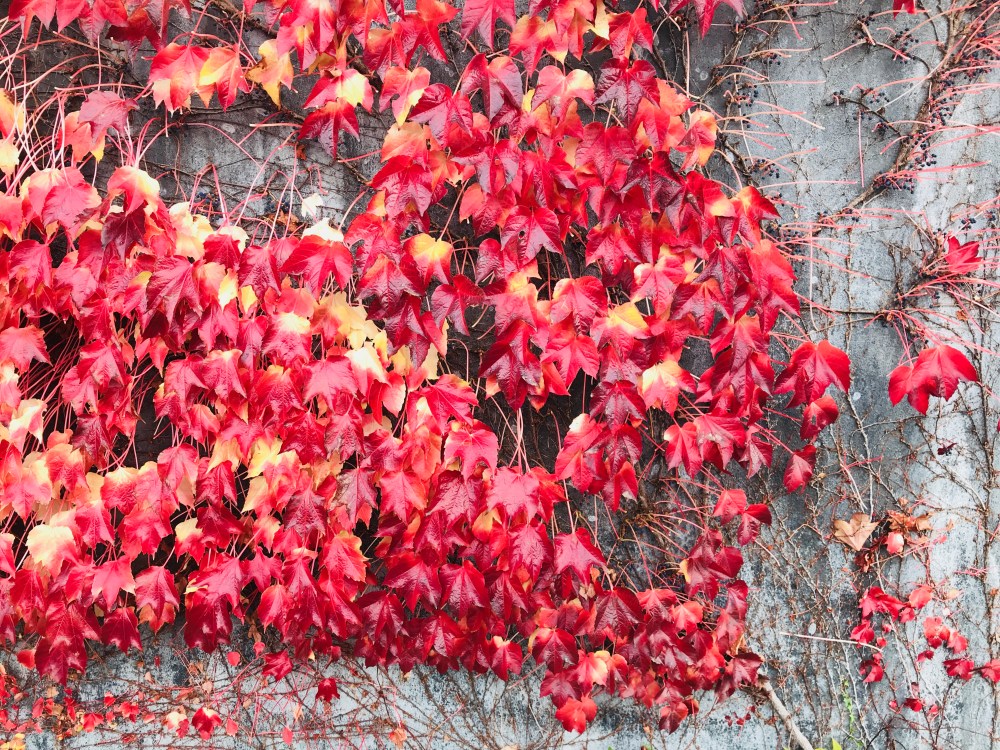 B3C40FF8-7FB3-47B0-A456-6B29067BE1C2