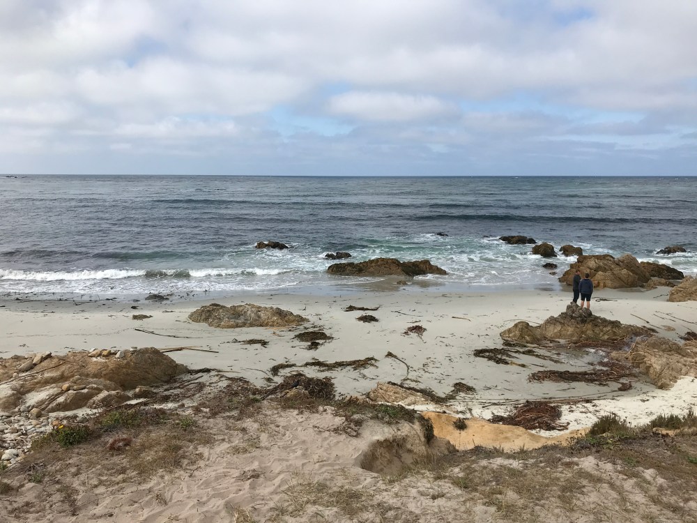 C16436E0-160A-4EE2-94E3-CEA5CAAFC746