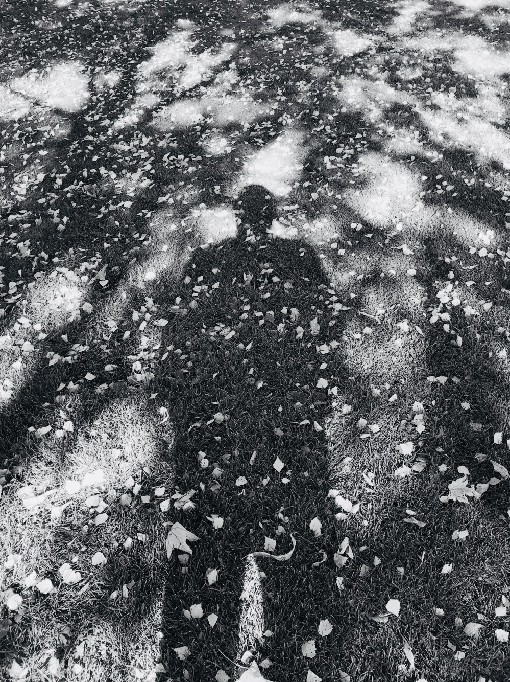 C1A44CE5-26B9-43C5-82DC-33B441E07BC0