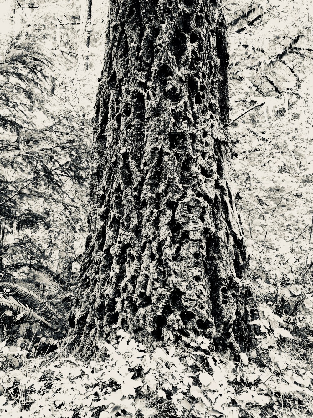 C1B22E66-212C-422B-99C1-F8A44E6FE5CF