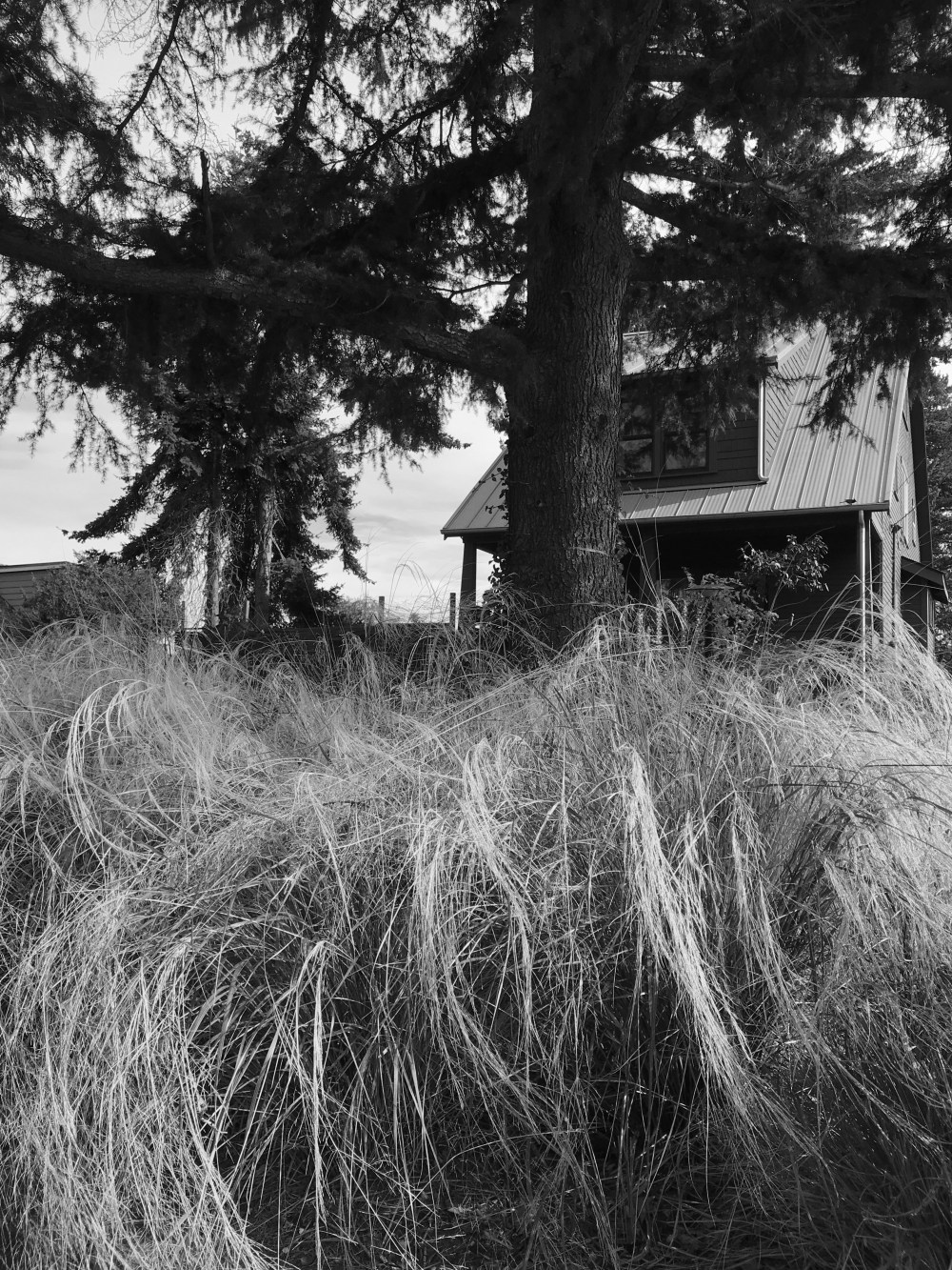 C1CE5710-CE45-460B-83AB-ADA2ACECA977