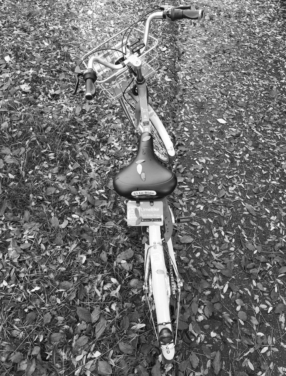 C2F53F1D-A44F-43A3-87B8-CE046A5D088B