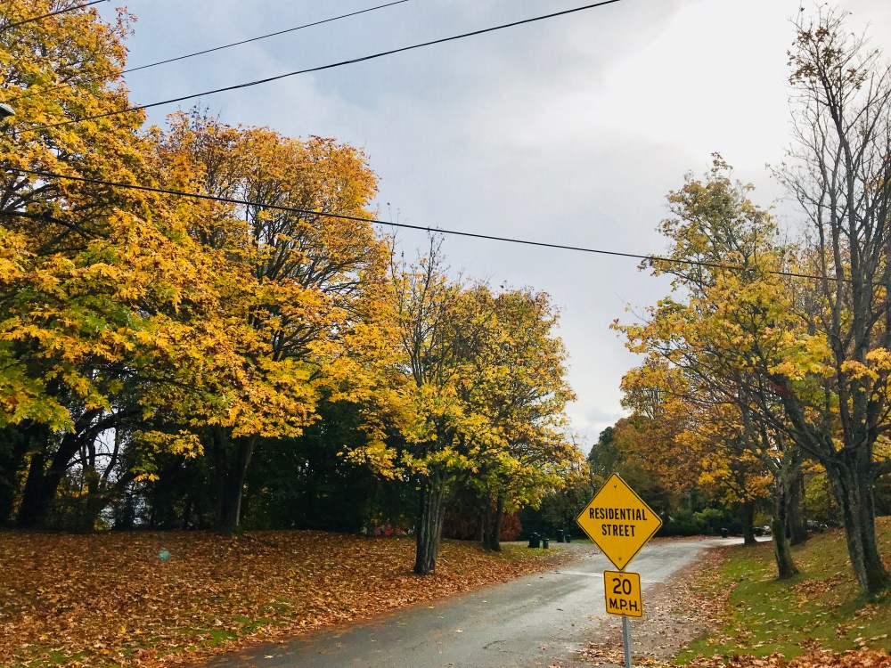 C686FDFE-C5C6-4871-95F1-DDFBA299D341