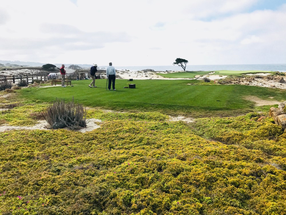 C7006EF2-237D-4C7E-A35C-2A92E3129887