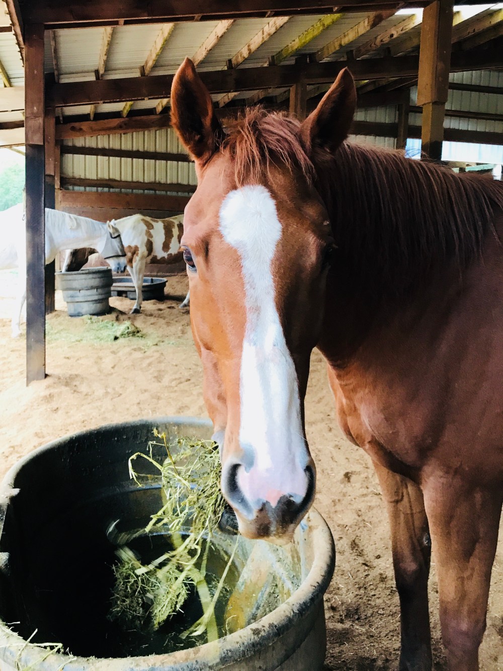 C7168640-4F5E-4047-B03A-6A980FF3A8F7