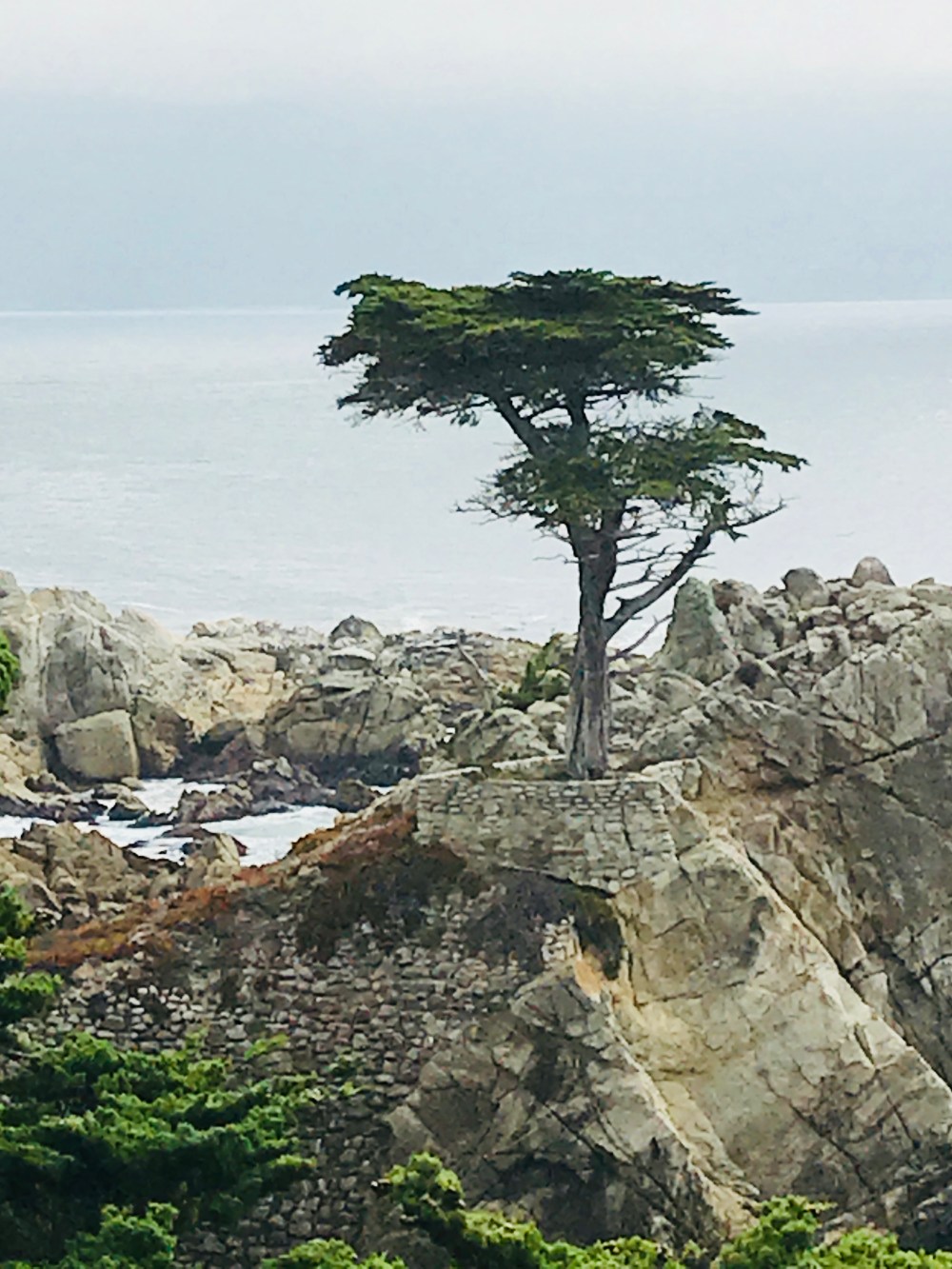 C773E57C-D2E9-4893-8A8F-6F8FDF4DAE4E