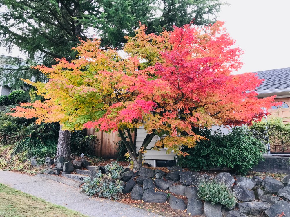 CC41F536-964E-4B11-8ABB-699EE4BC7D16