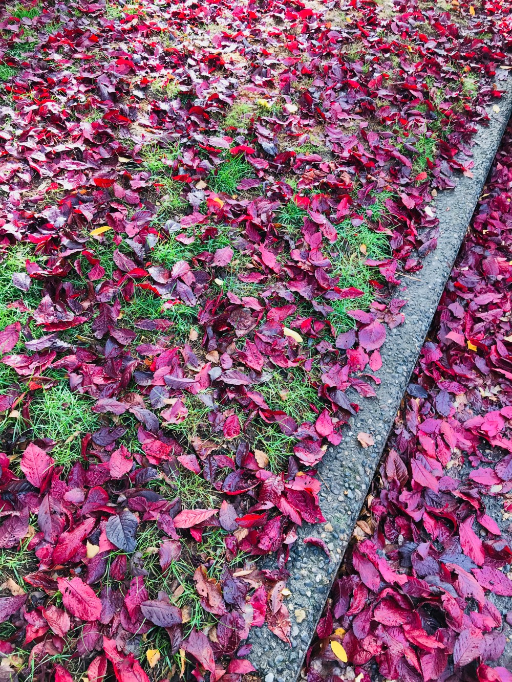 CDCC21AB-740F-48FD-AC85-F20C6E657BAC