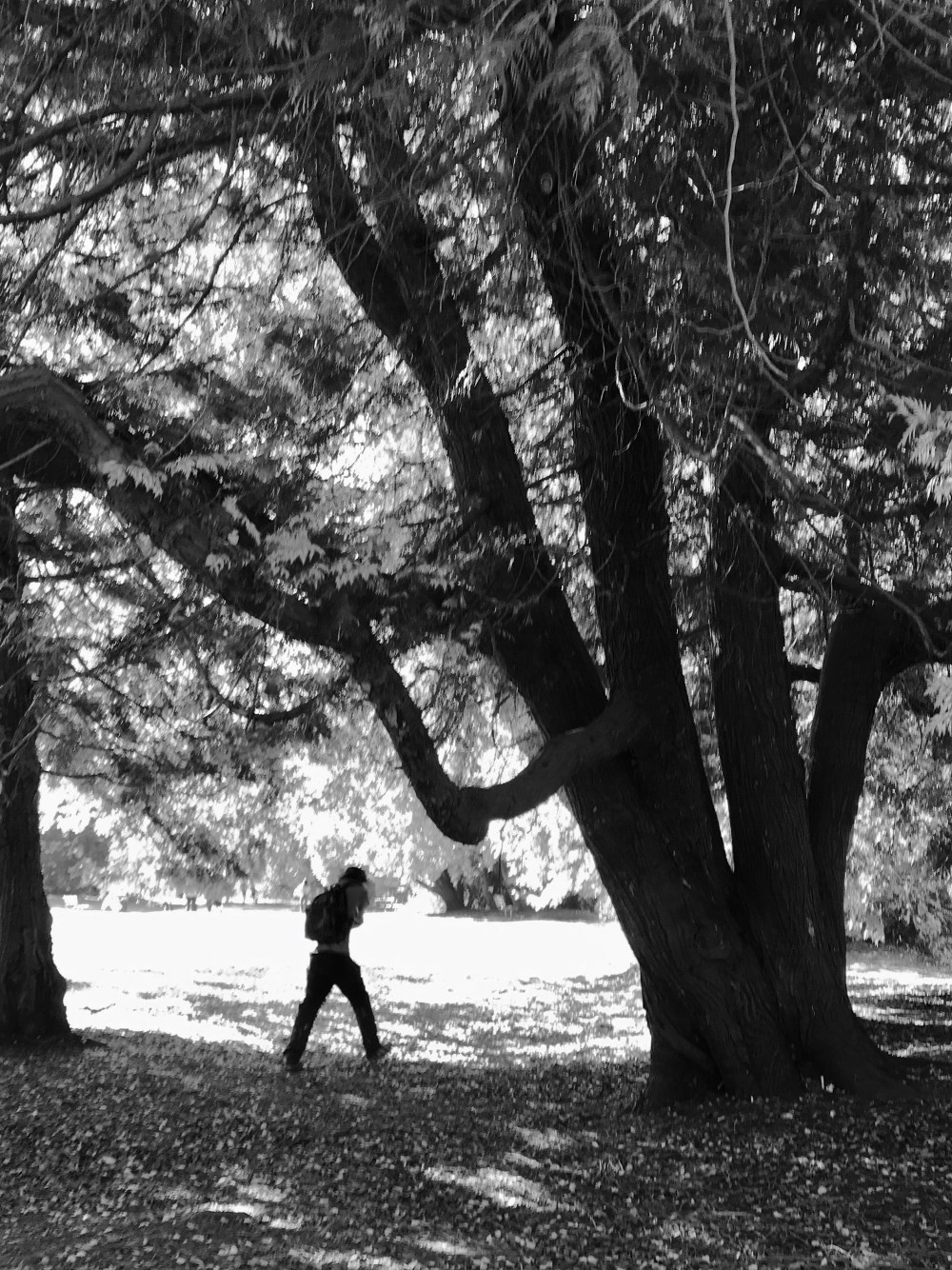 CE365F84-9DC1-48E0-8F25-45D3EB8C0143