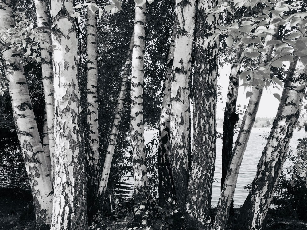 CF59582E-6194-4A5A-B7C6-A53BFB4AAC52