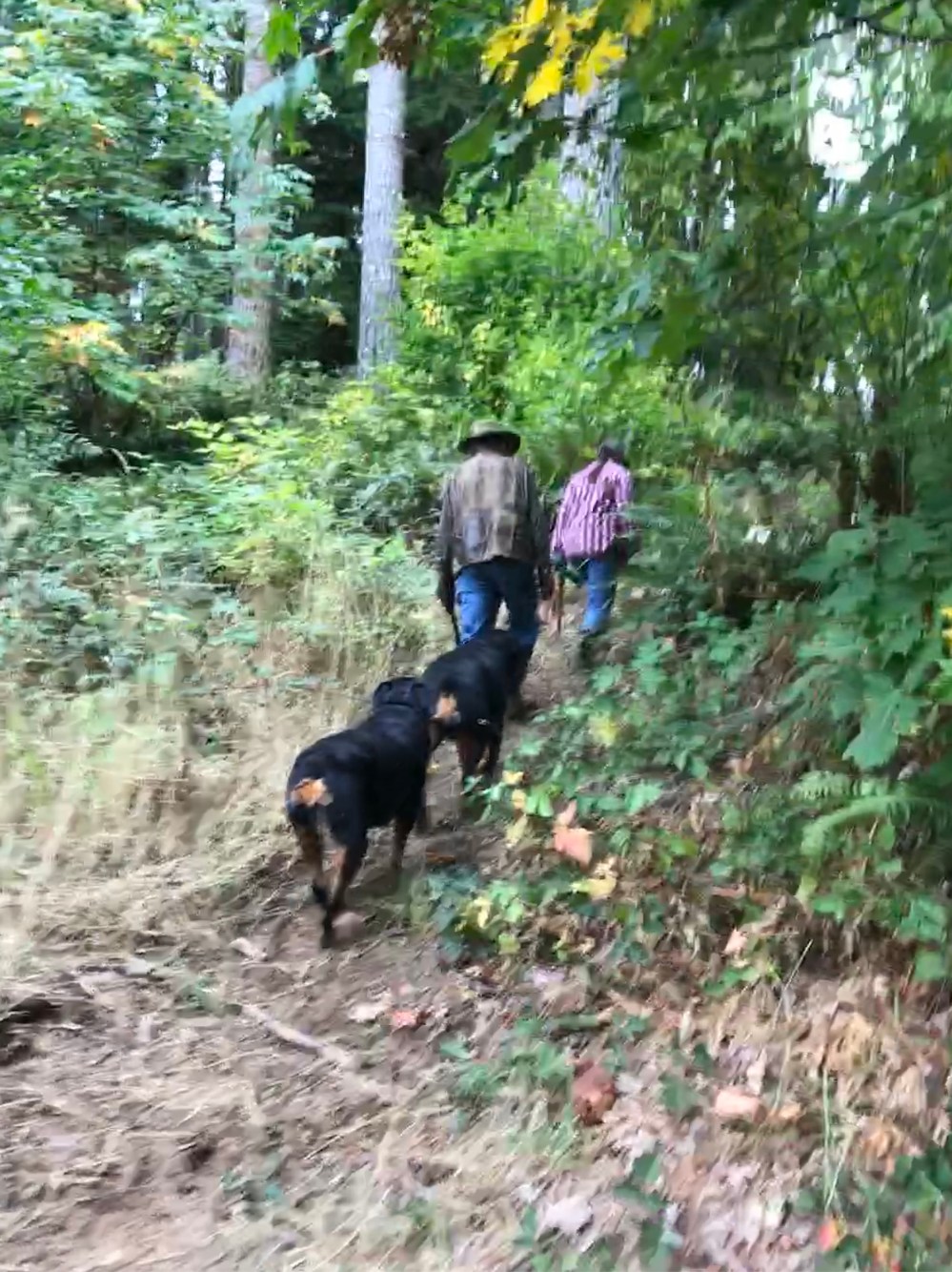 D1199268-A5A8-44C1-BDCA-46E2B26F36B5