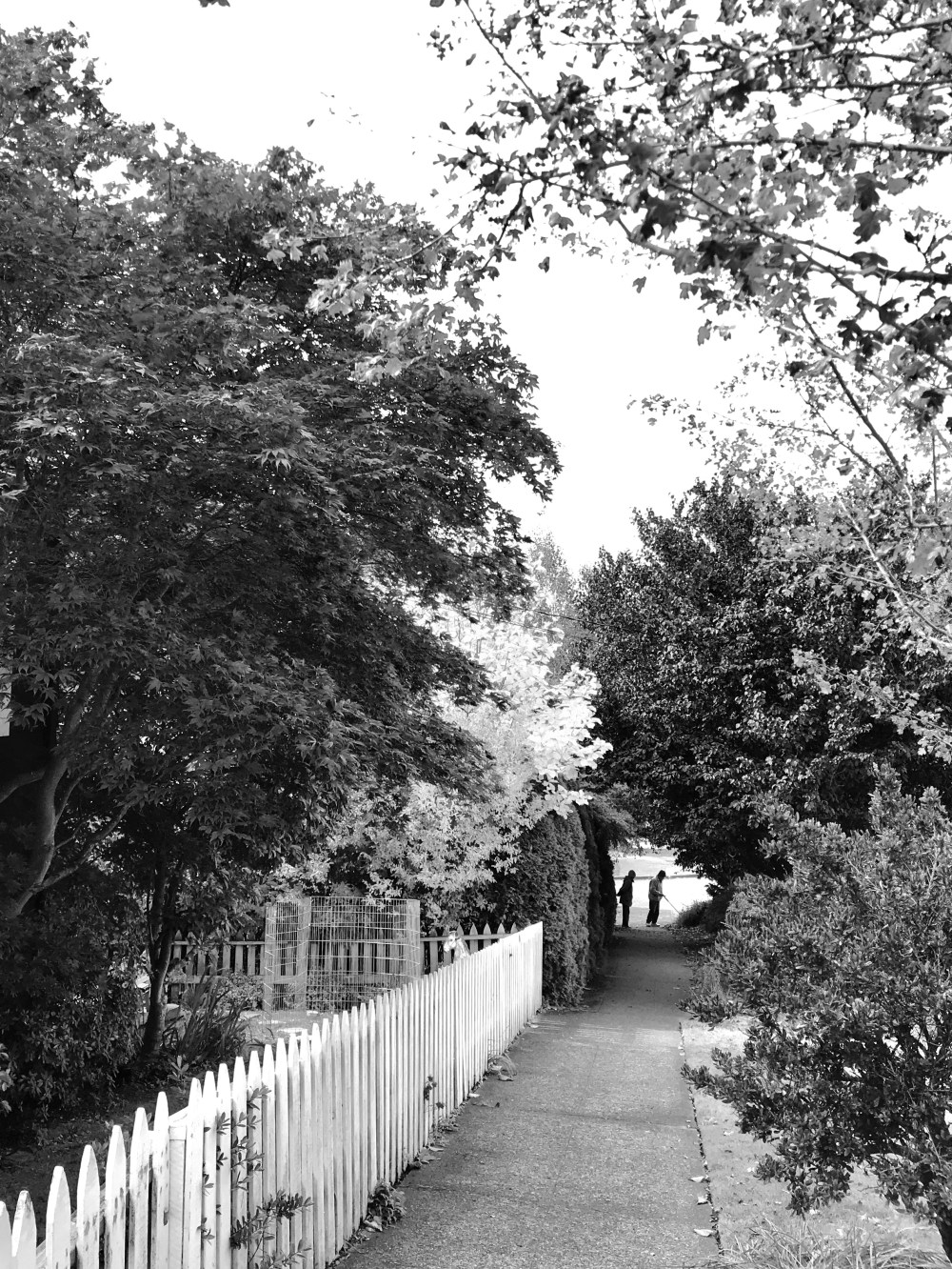 D319C93D-201D-48F8-985F-07741D447E3E