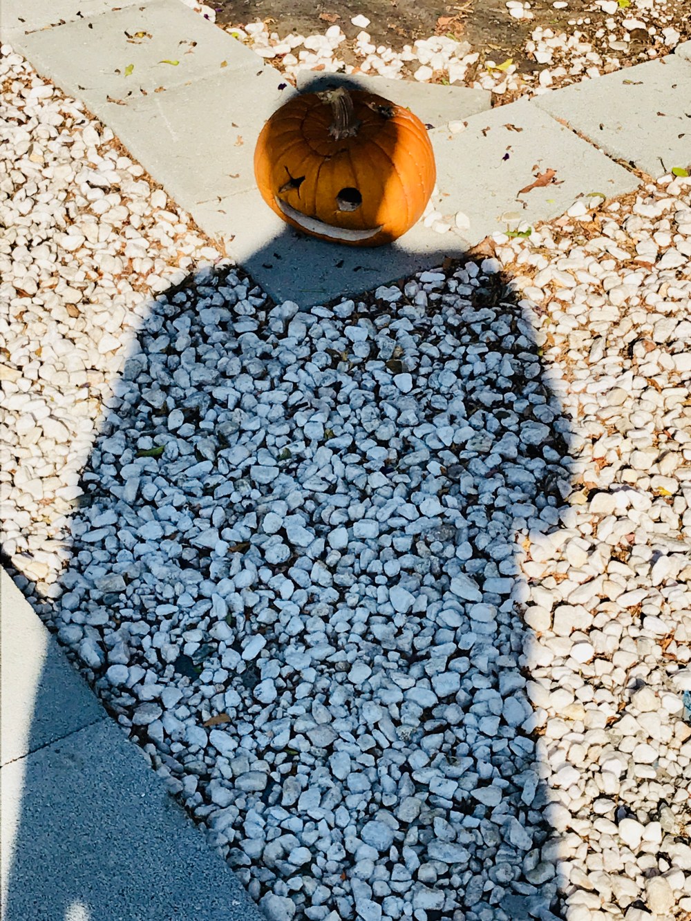 D35D9FAF-A699-42C4-8414-16D14ABEE859