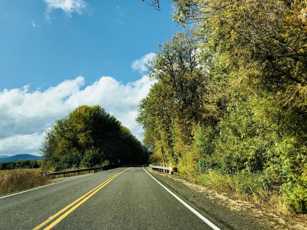 D8F8C65D-4D24-4C24-8201-8CA6D56FD793