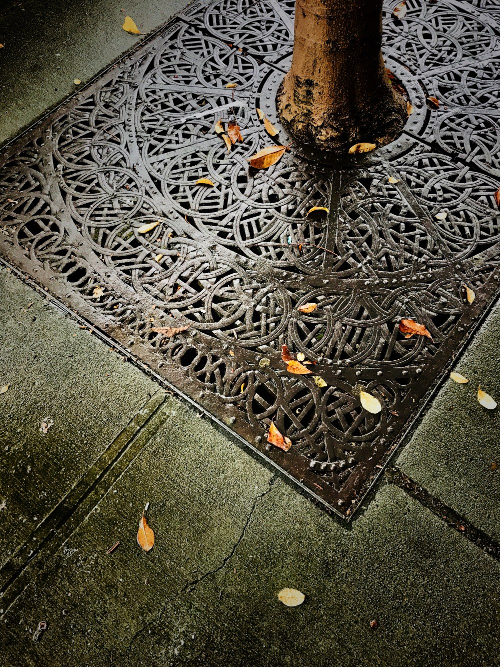 DA921863-681A-4A88-A701-30F7F550F22D