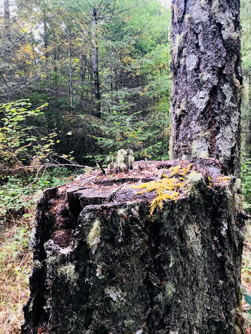 DD7F3826-77DC-4561-B225-5801A1E1EC5F