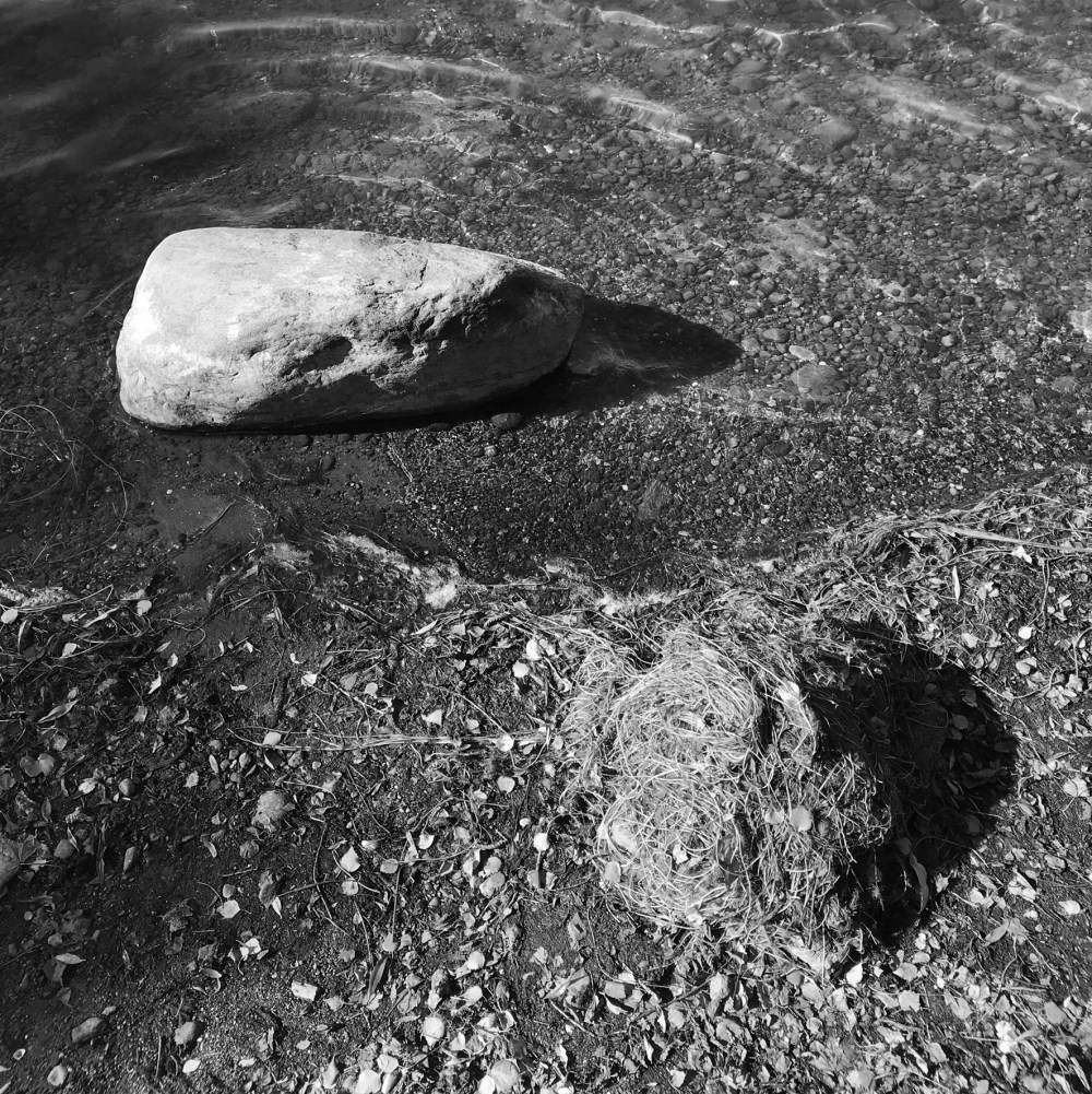 DEFA4CE1-C6C7-4D31-A542-73E0413DAF59