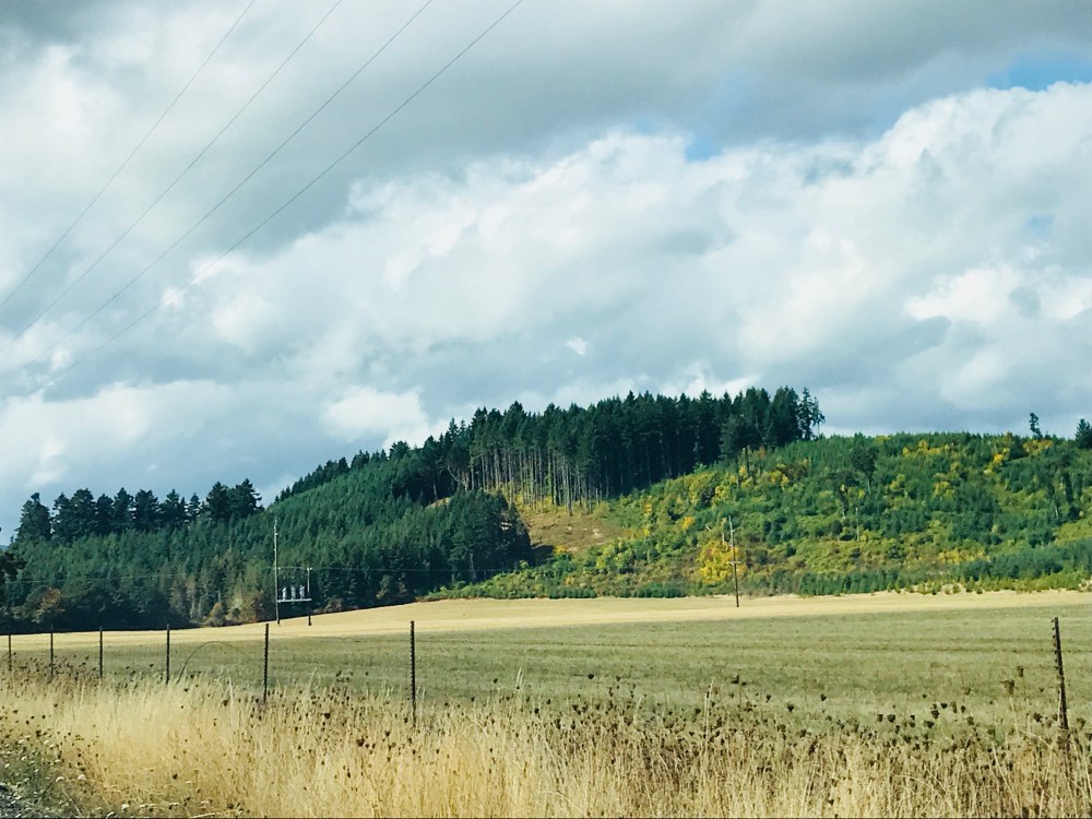 DF0BA7BE-82B3-4A49-925B-9FD7ACC25D97