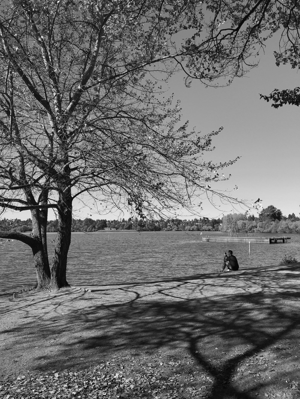 E09B4773-8475-481E-B29C-C8676D6F6F86