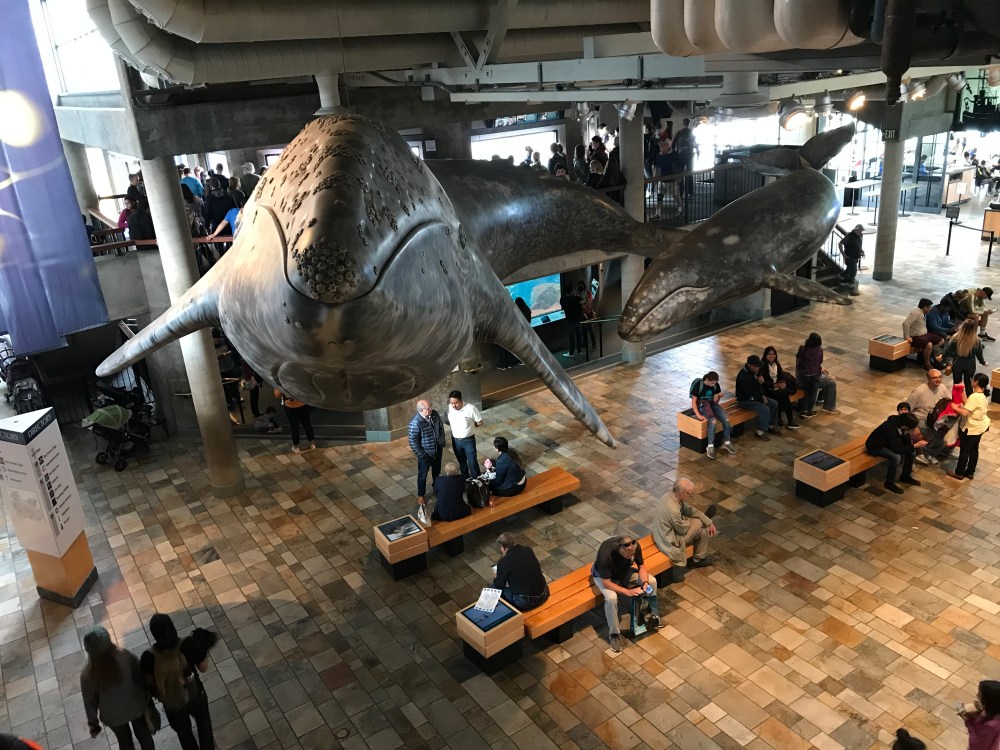 E10549FD-A123-4C06-9960-996213693C55