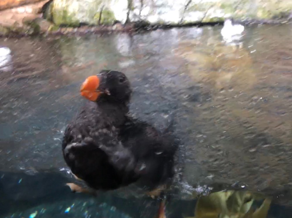 E6F92676-CDC1-492E-A1EE-AD271F0828A8